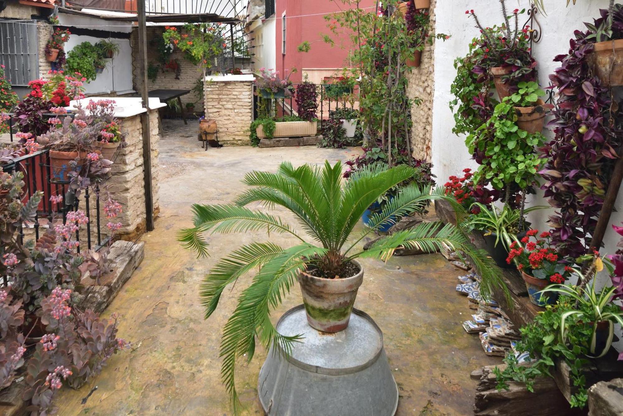 Dona Ines Barrio Santacruz Séville