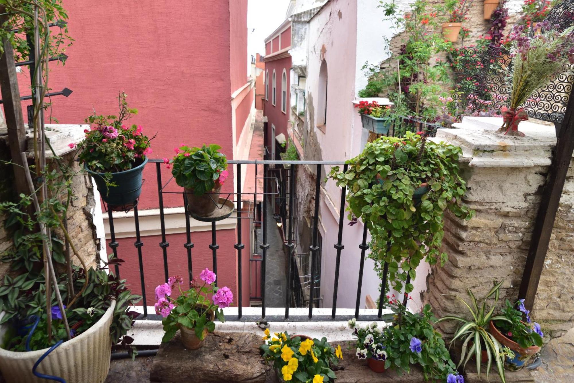 Séjour chez l'habitant Dona Ines Barrio Santacruz Séville